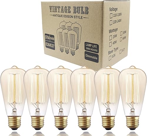 Rolay Paquete de 6 bombillas Edison vintage de 25 vatios con filamento de jaula de ardilla, 110  130 voltios, base E26