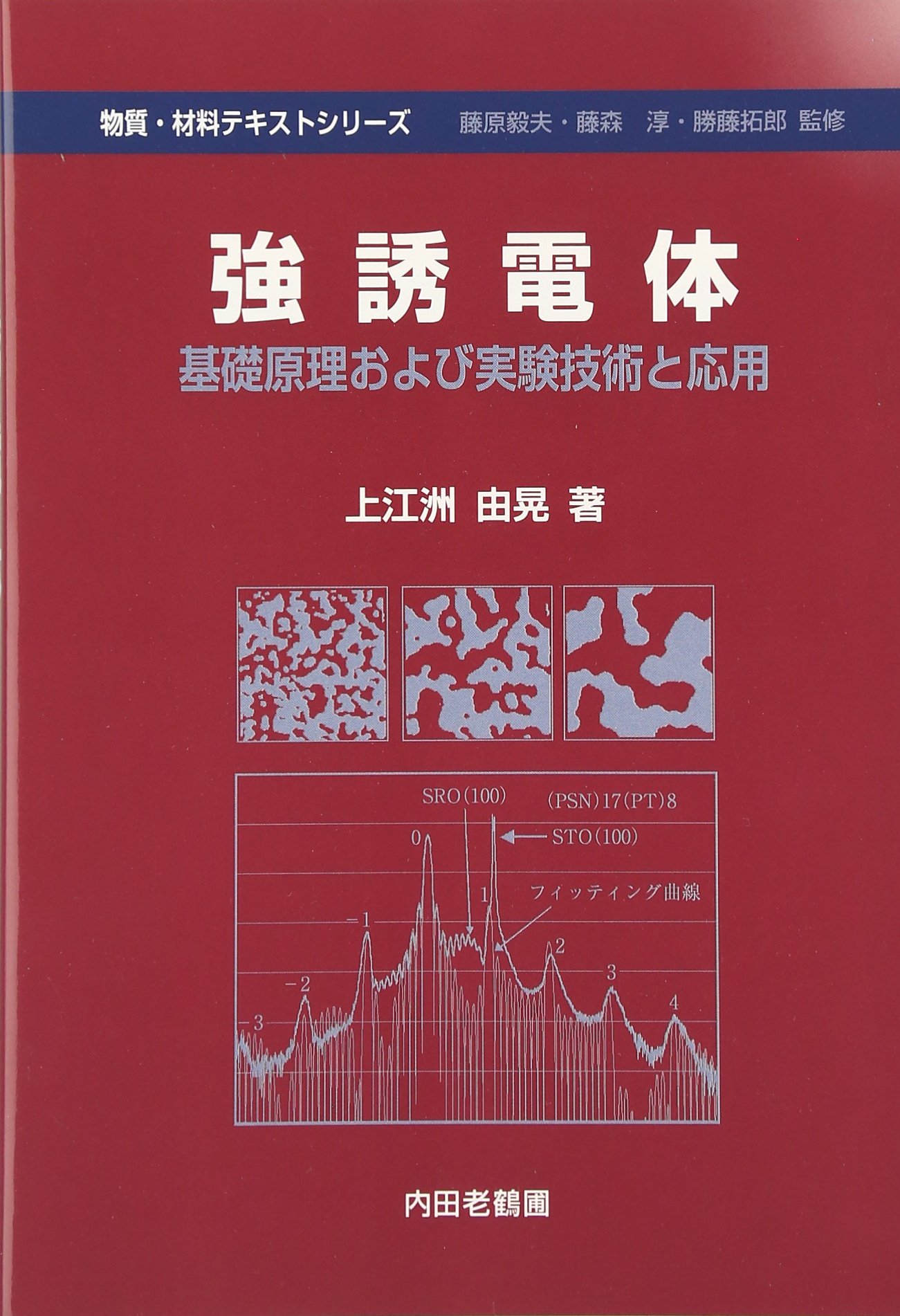 強誘電体: 基礎原理および実験技術と応用 (物質・材料テキストシリーズ