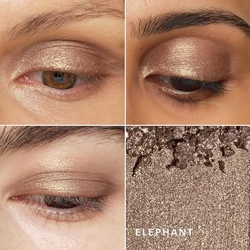 Luminescent Eye Shade - Elephant by Chantecaille for Women - 0.08 oz Eye Shadow