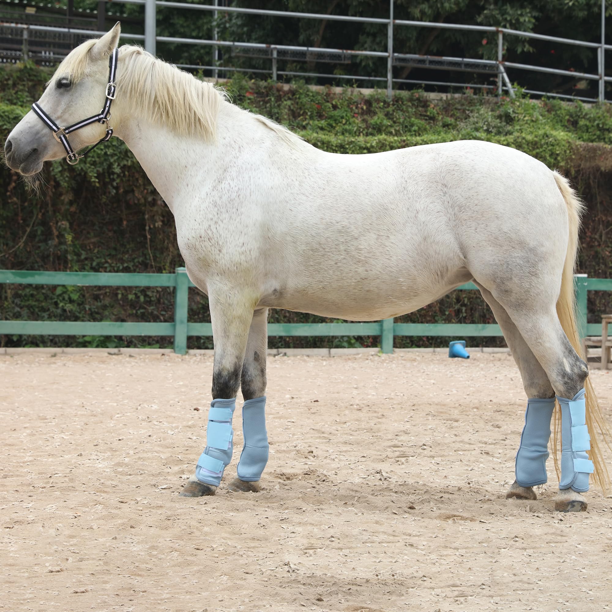 LEAFOREST Juego de 4 botas antimoscas para caballos - Protección antideslizante para patas de burro, poni mini y caballo de tiro, botas de malla transpirable para uso en pastos y establos, azul claro
