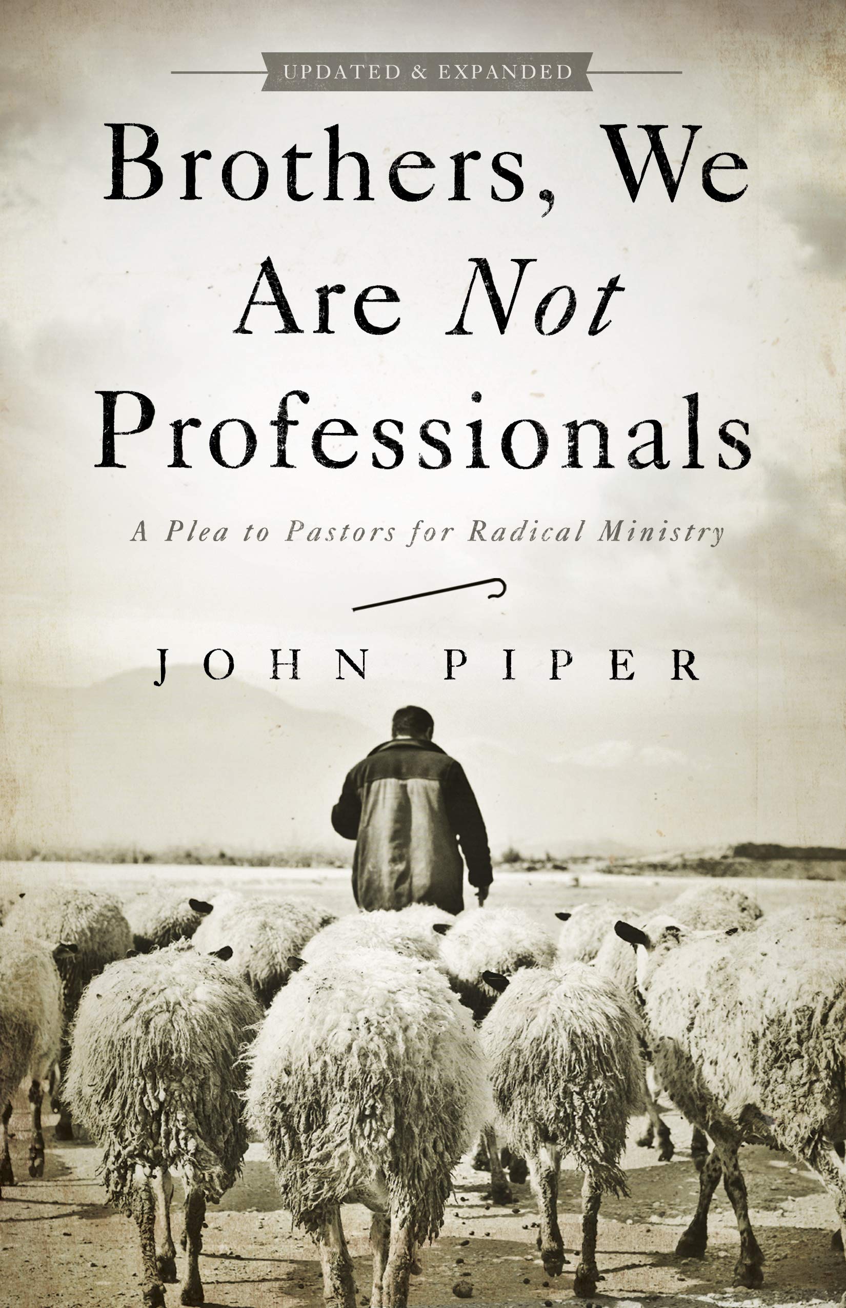 Brothers, We Are Not Professionals: A Plea to Pastors for Radical Ministry, Updated and Expanded Edition Paperback – February 1, 2013