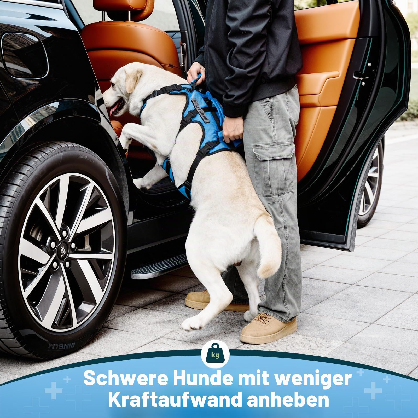 Dog Lift Geschirr für Große Hunde, Ganzkörper-Stützschlinge mit 3 Griffen und Schultergurt, Trageweste für ältere Hunde mit Arthritis oder Gelenkverletzungen, Treppenhilfe, Blau, X-Large