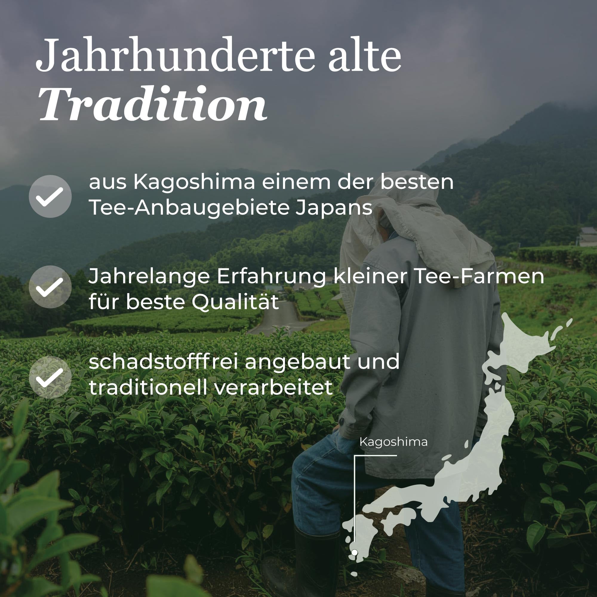 Bio Matcha Ceremonial Grade in verschiedenen Qualitätsstufen aus Japan - erste Ernte, laborgeprüft 30g, Qualitätsstufe: Grade 3