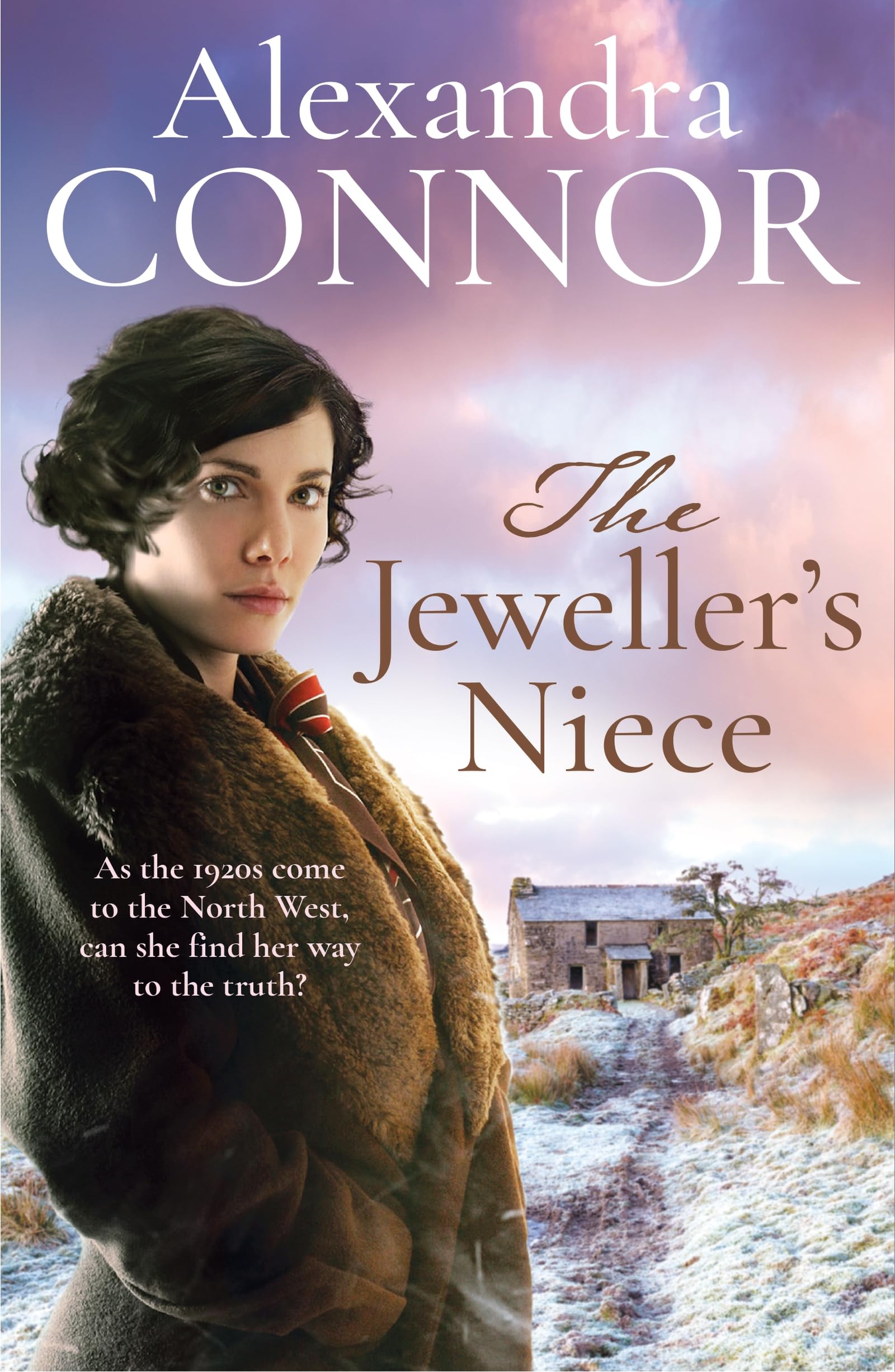 The Jeweller's Niece: An engrossing saga of family, love and intrigue
