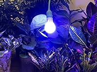Vista 2 de Miracle LED Un-Edison - Kit de luces LED de ciclo de vida de plantas con 3 bombillas para tres etapas de crecimiento, multiespectro