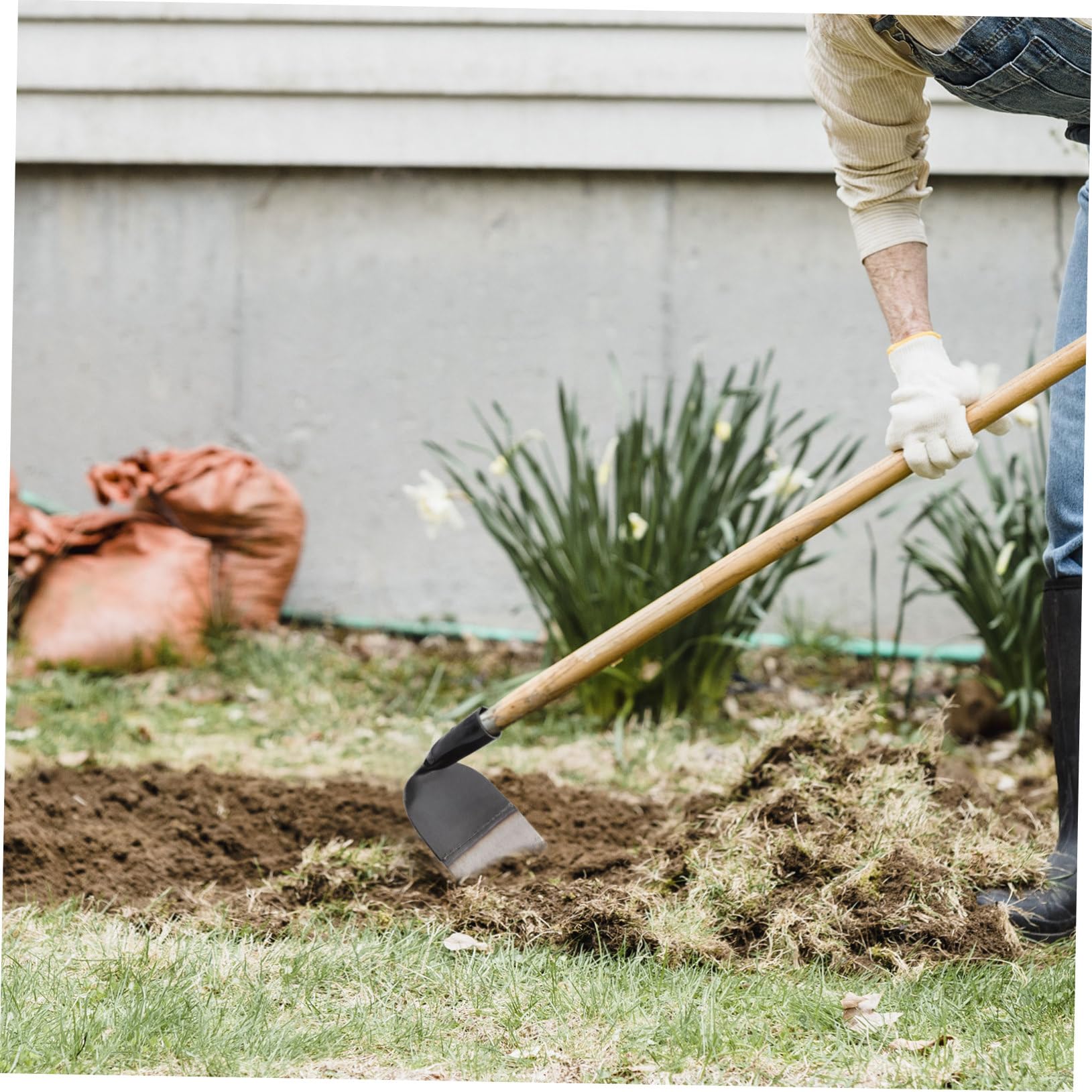 Houe Creuse de Jardin en Acier Inoxydable, Outil Désherbage