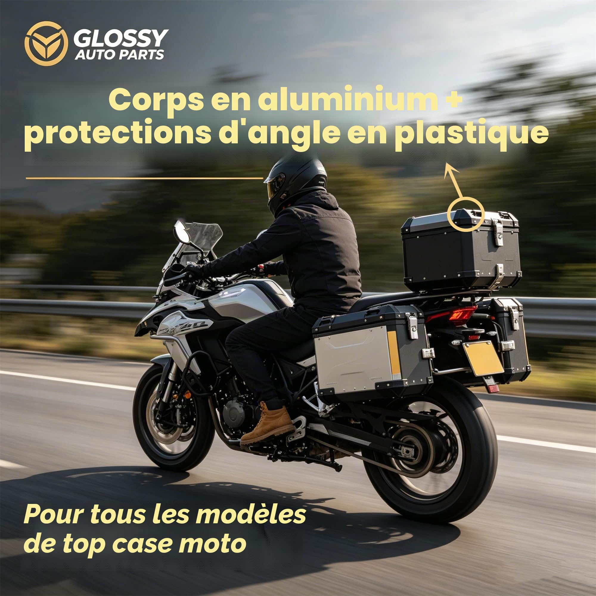 55L Coffre à bagages universel pour moto, argenté, coffre arrière en aluminium, étanche