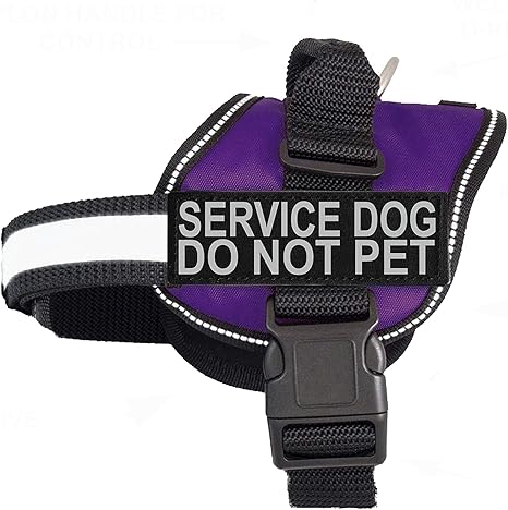 largest mastiff breeds