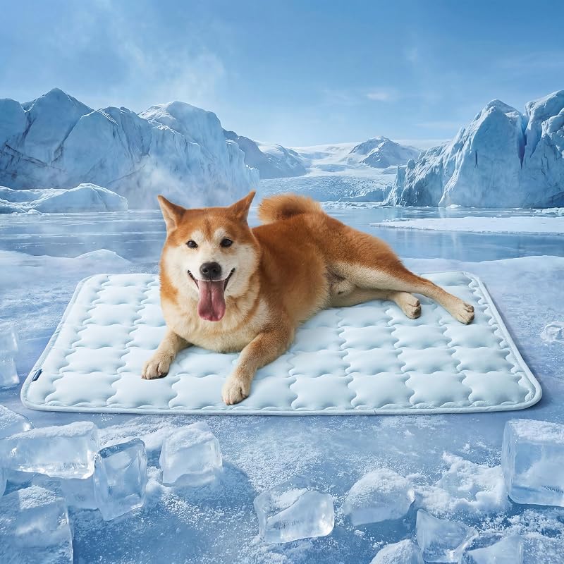 Tapete refrescante para cães grandes Bedsure ArcticMax™ com tecido Q-Max > 0,5 — 88,9 x 58,42 cm