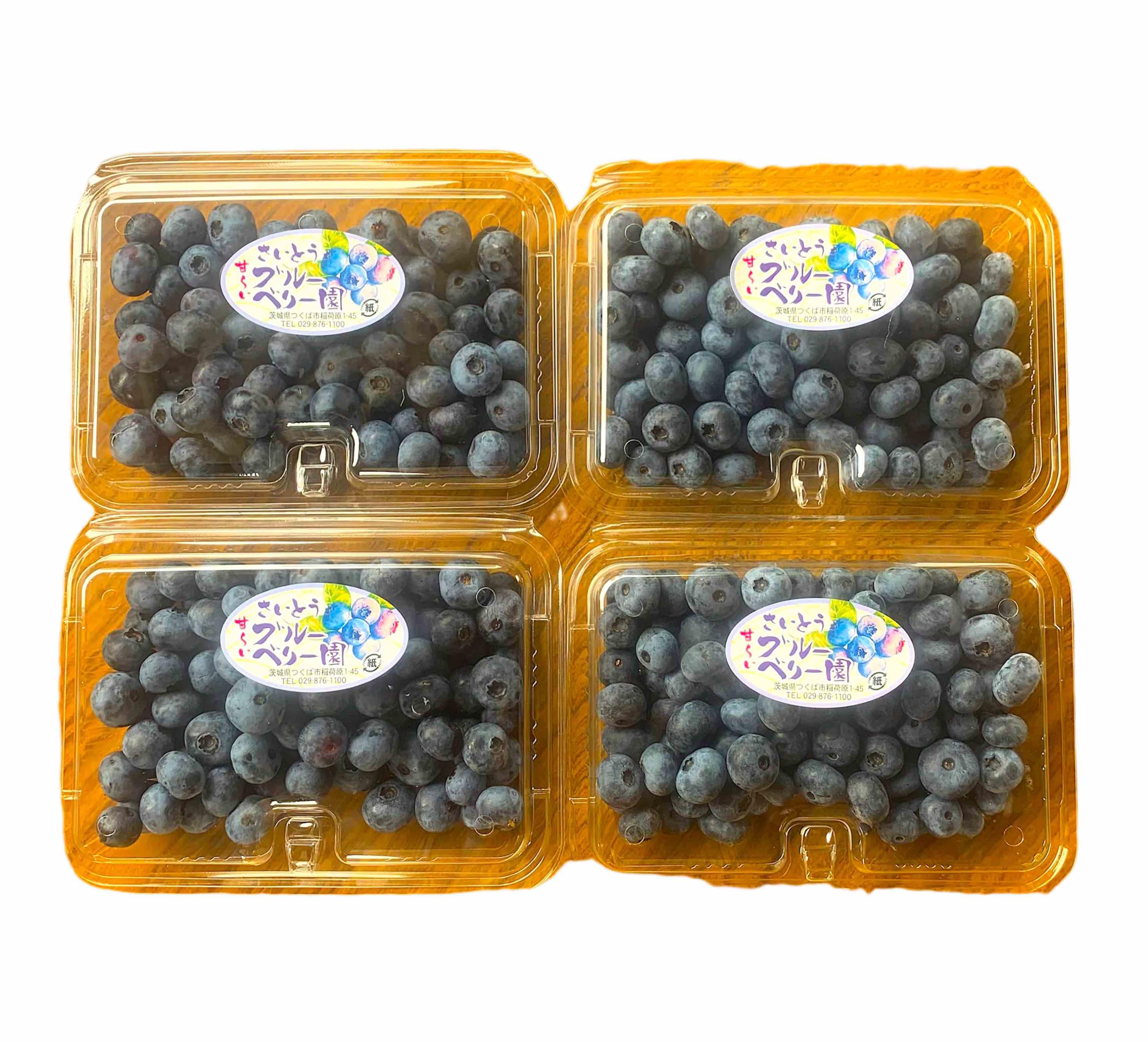 Amazon.co.jp: 100％無農薬【生ブルーベリー】約1,000g (250g×4パック 