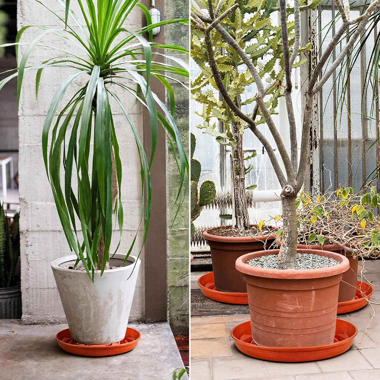 15 Pack Plant Trays for Pots 1.5" Deep Plant Saucers, Heavy Duty 8" 10" 12 inch Plant Tray Bulk Thickened Plant Plates to Catch Water, Durable Plant Saucer Flower Pot Accessories
