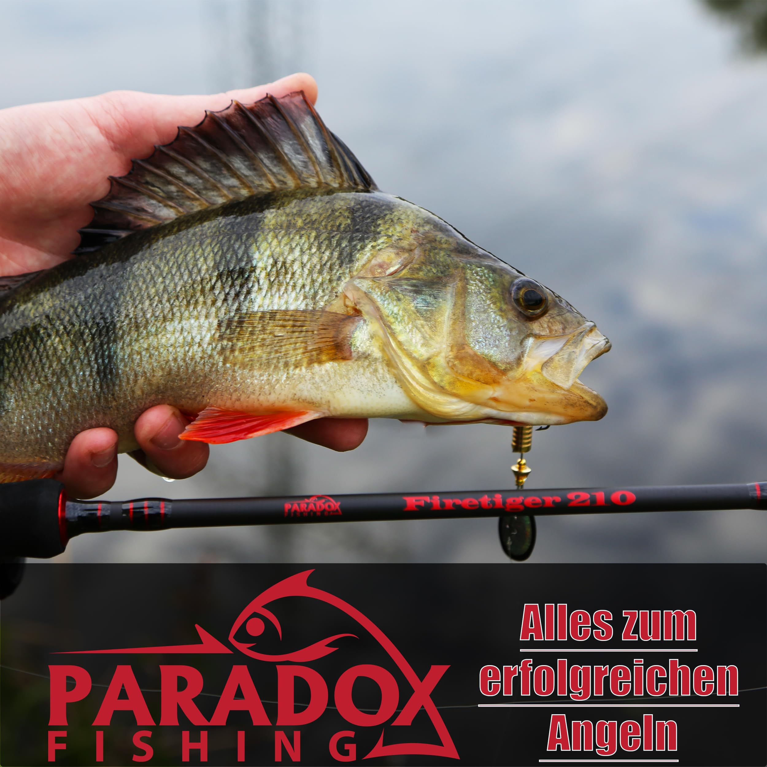 Paradox Fishing Red de pesca de goma, 2,1 m, telescópica, engomada, 2,1 m