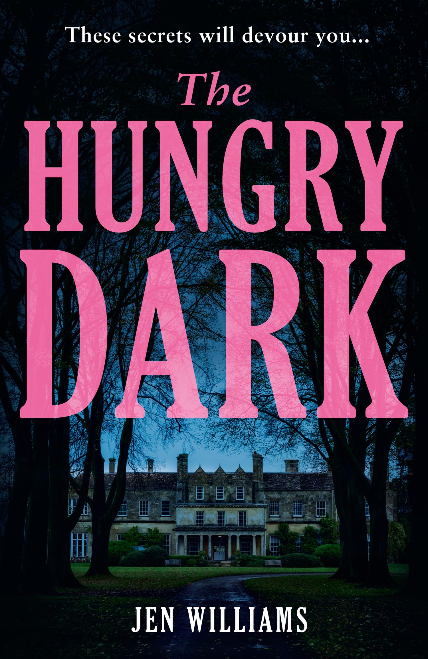 The Hungry Dark: Perfect for Halloween – The chilling new suspense thriller for fans of CJ Tudor, Alex North and Claire Douglas