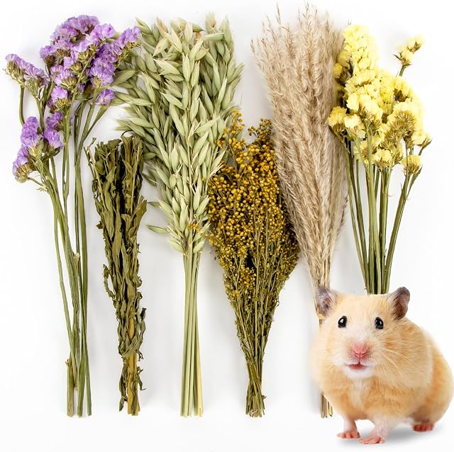 Sukh 42Pcs Hamster Sprays Natural - Sprays & Forage for Small Animals | Chew Herbs for Syrian Dwarf Hamsters & Guinea Pigs, Habitat Dry Flowers Decor, Hideout Enrichment, Cage & Bedding Accessories