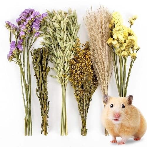 Sukh 42Pcs Herb Bedding Habitat Decor - Natural Flower Hamster