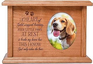 LifeSong Milestones Pets Cremation Urns Memorial Keepsake Box for Dogs Cats Pet Ashes A Heart of Gold Stop Beating Holds Small Portion of Ashes Holds 2x3 Photo (A Heart of Gold)