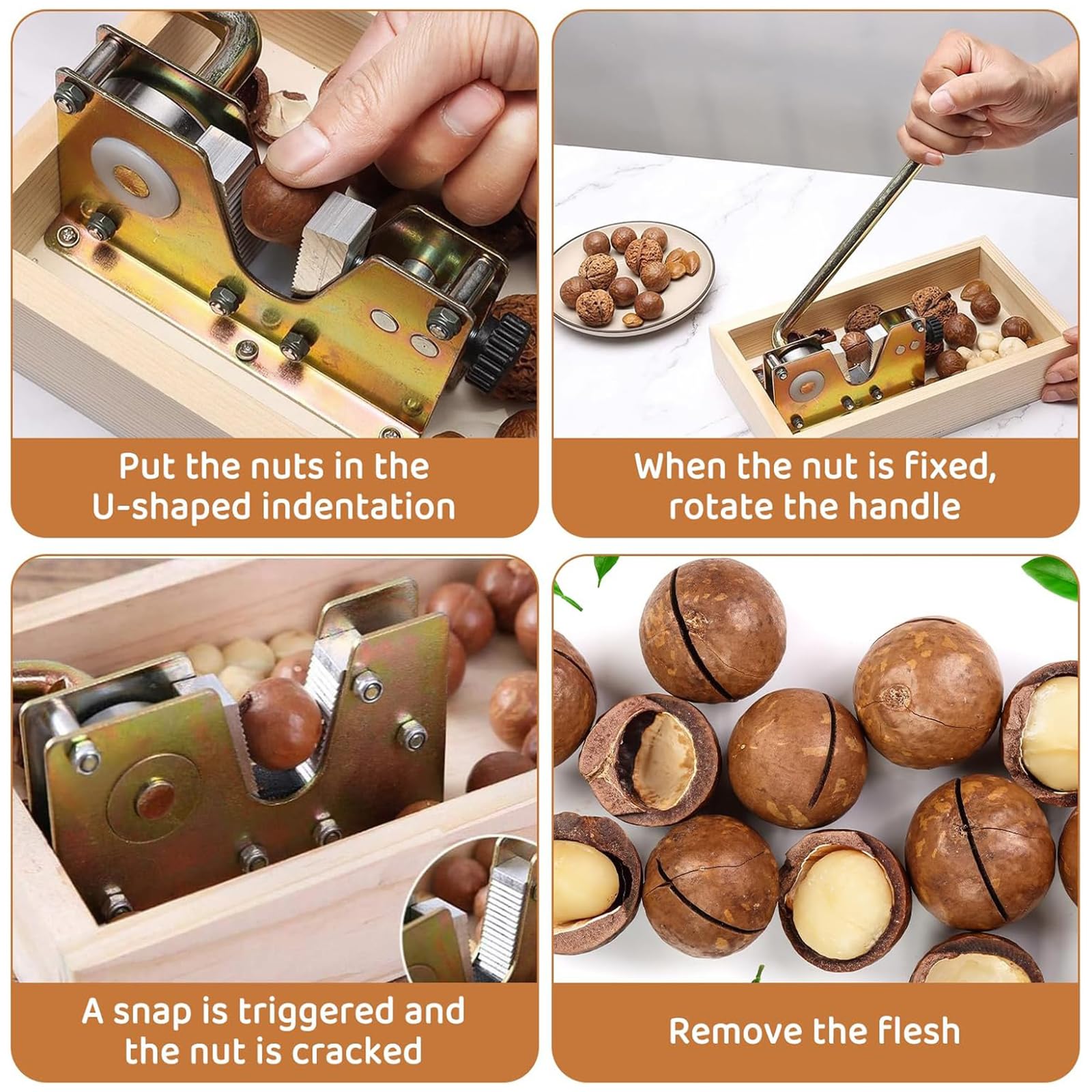 Casse-Noix avec Base en Bois Pratiques avec Compartiment De Rangement pour Les Amateurs Cuisine Outil en Plastique