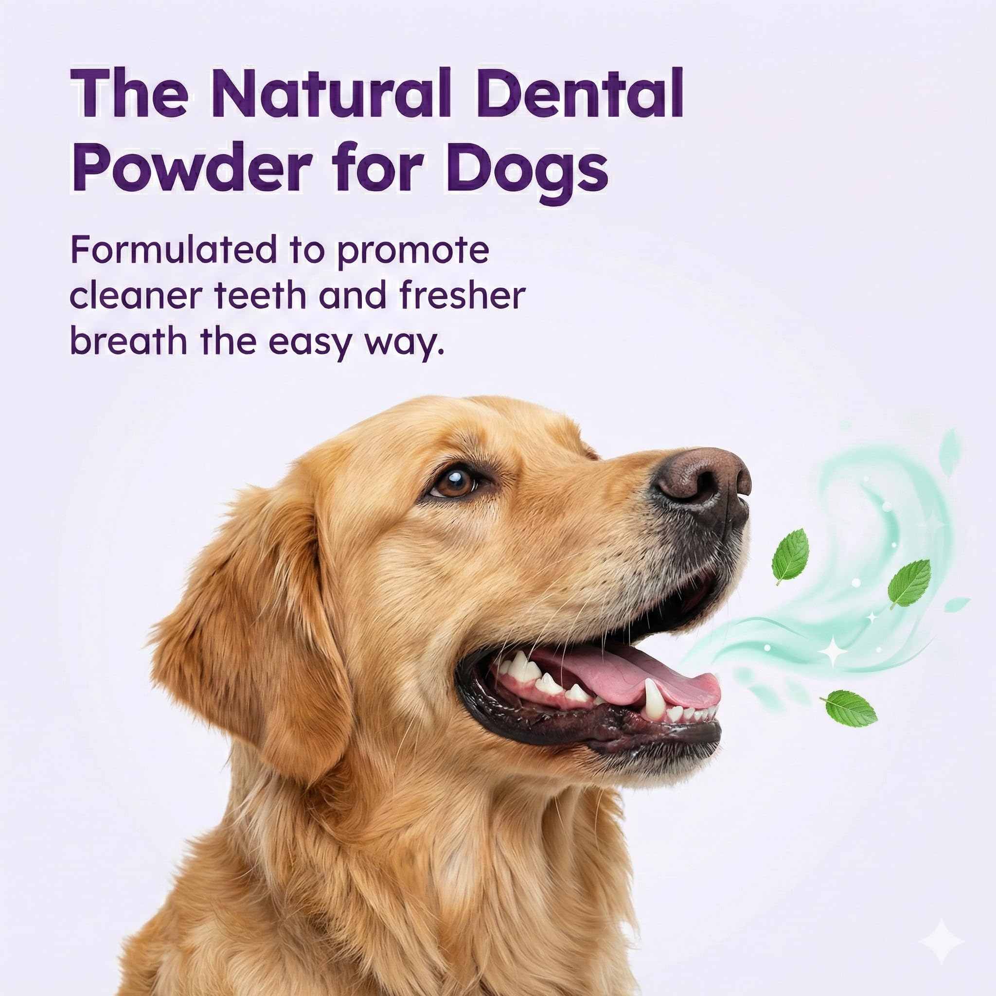 Polvere dentale per cani per la pulizia dei denti - Polvere dentale per | Prevenire l'alito cattivo del cane con probiotici per alito fresco e salute orale - Al gusto di pollo