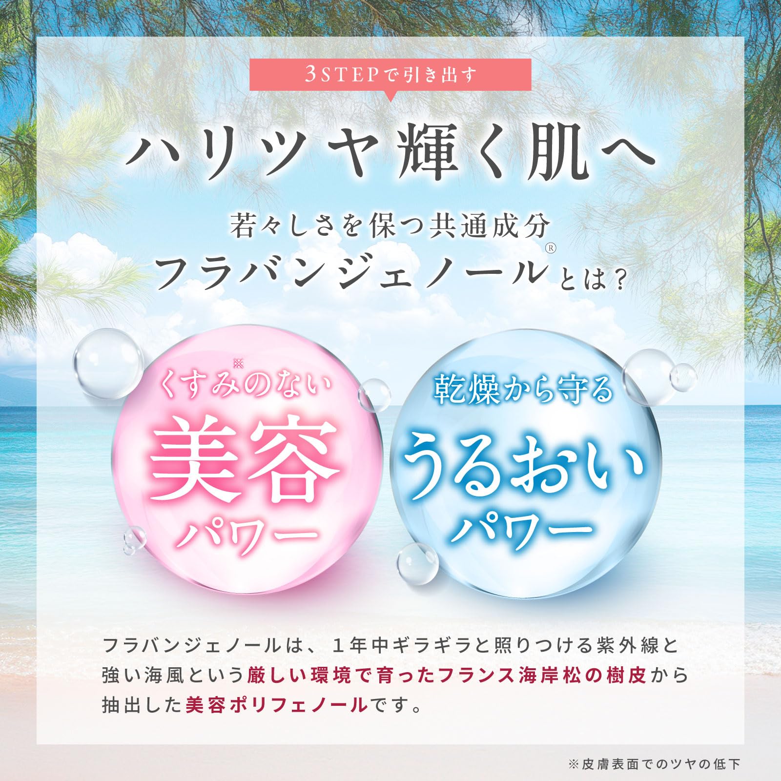Amazon.co.jp: フラビア ザモイスチャー ローション（60ml） ☆ 化粧水 