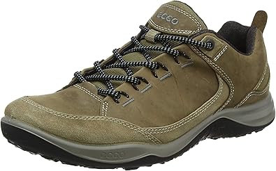 ecco hiking shoes