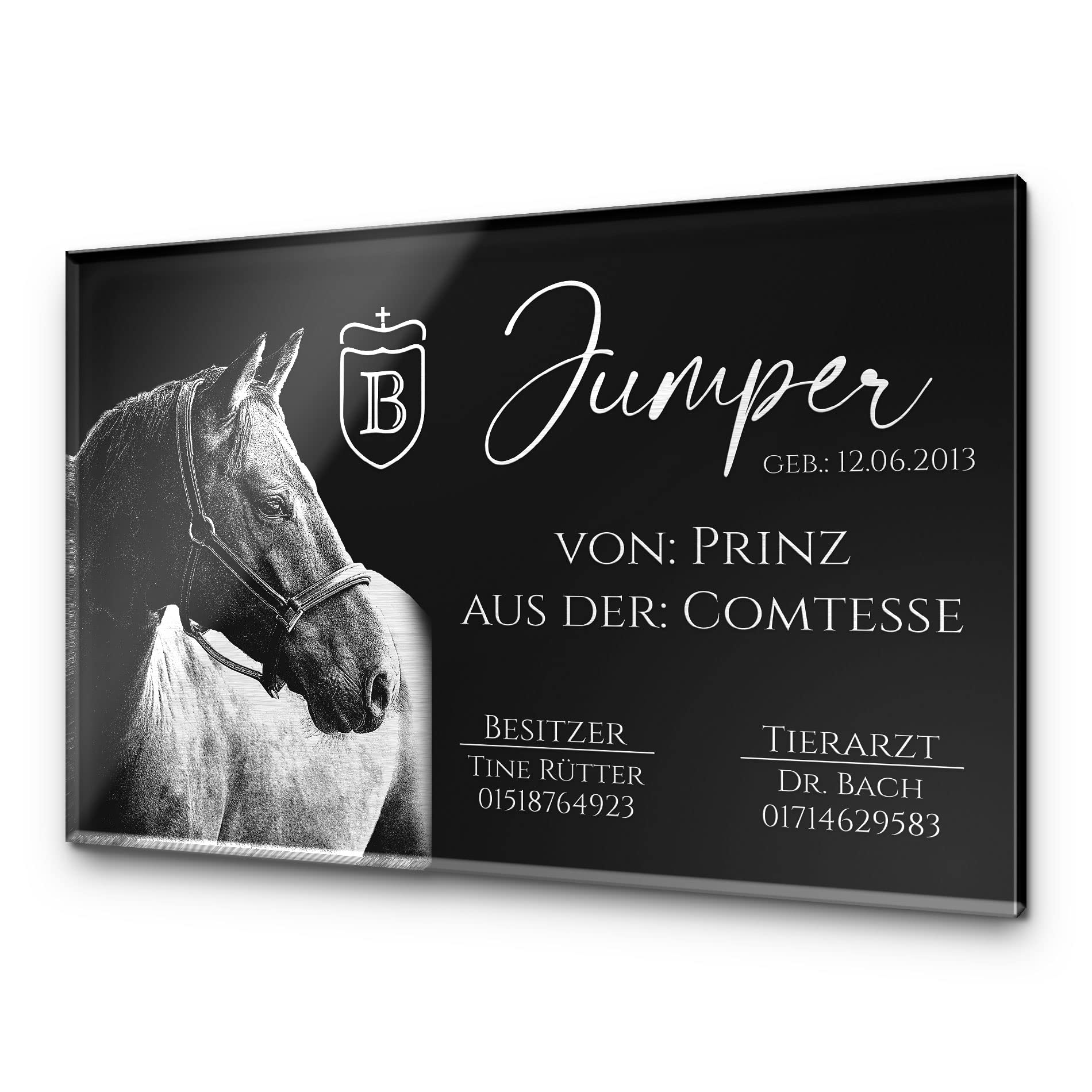 CHRISCK design Pferdeschilder Boxenschilder mit Wunschgravur | Hochwertiges Acrylglas | 30x20 cm | sofort personalisierbar | inkl. Brandzeichen & Motiven (D6)