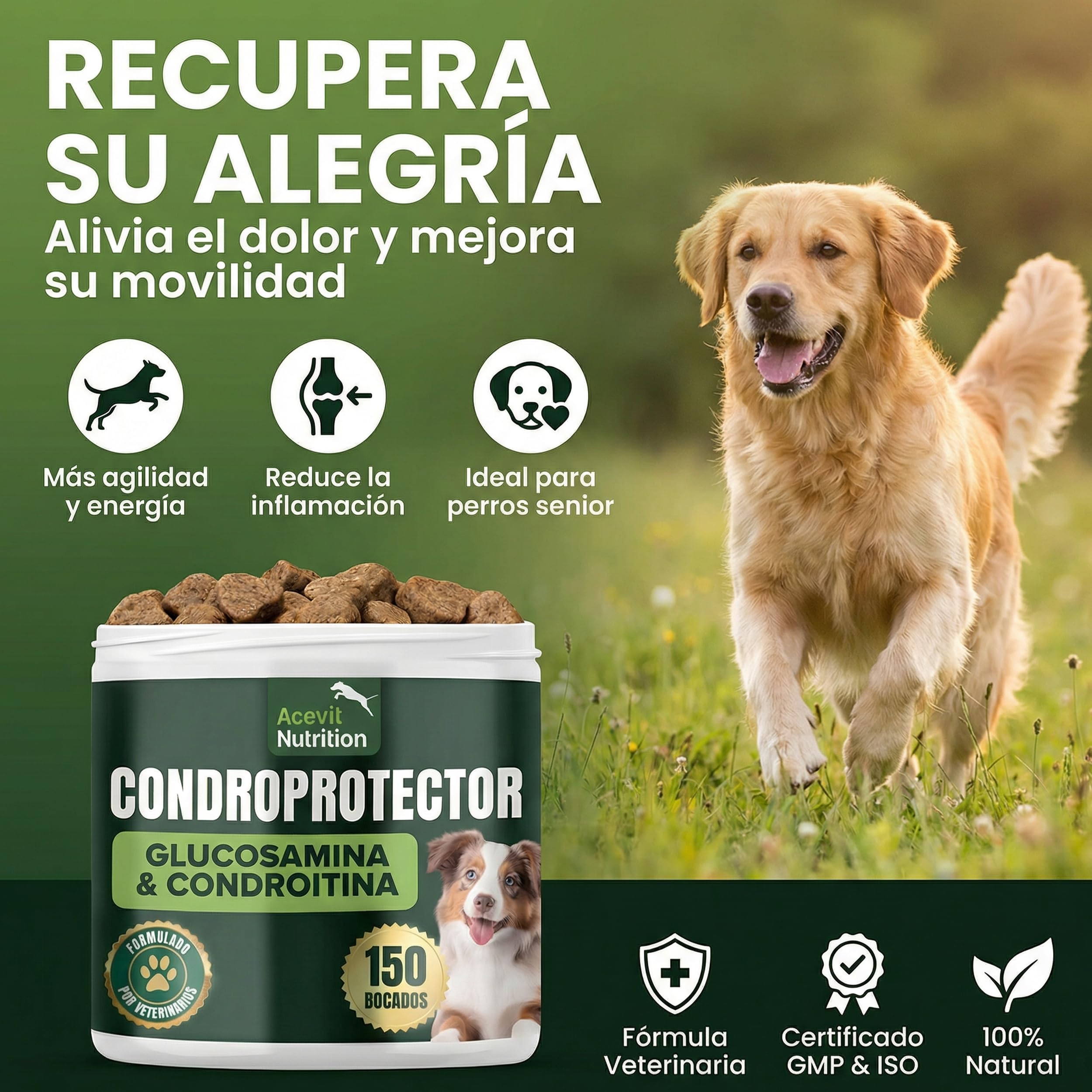 Condroprotector para Perros, 150 Unidades, 100% Natural, Antiinflamatorio, Articulaciones y Cartílagos, Antiartrosis con Colágeno, Glucosamina, Condroitina, MSM, Ácido Hialurónico, Omega 3 y 6
