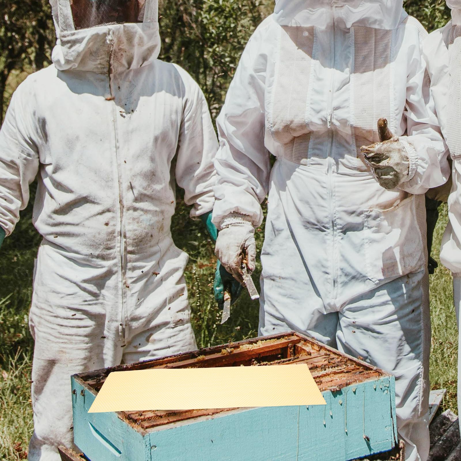 Fogli di Fondazione per Arnia in Cera D’api 10 Pezzi Arancia | Attrezzatura per Apicoltura, Fogli Naturali per Costruzione Nido, Formato Pratico per Lavorazione Rapida