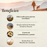 Ver la foto 7