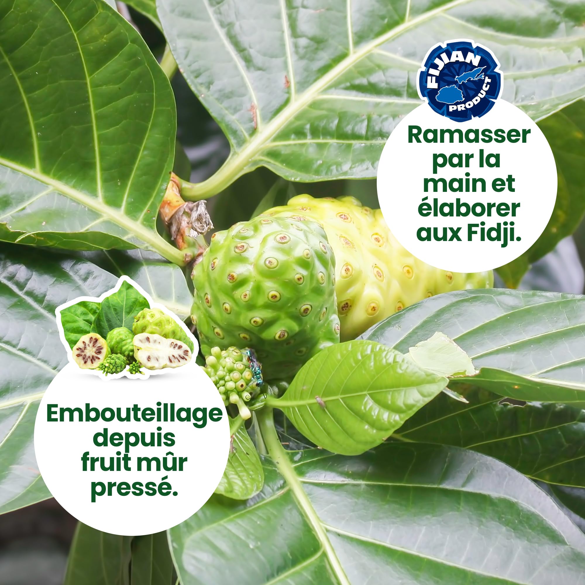 Jus de Noni - 1 Litre. 100% Pur et Biologique sans conservateurs - Aide en cas d'inflammation, de douleur et renforce le système immunitaire.