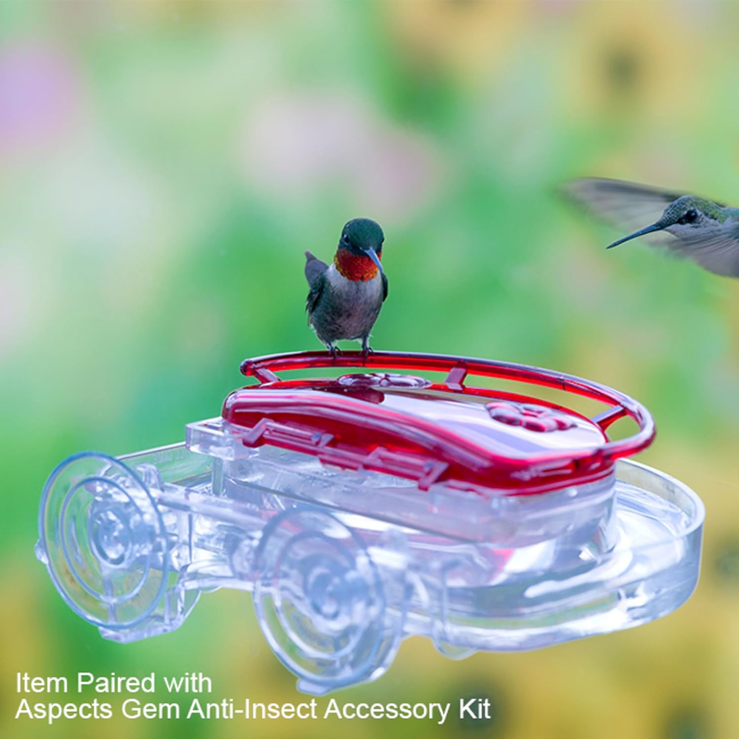 Aspects ASPECTS437 The Gem Window Hummingbird Feeder