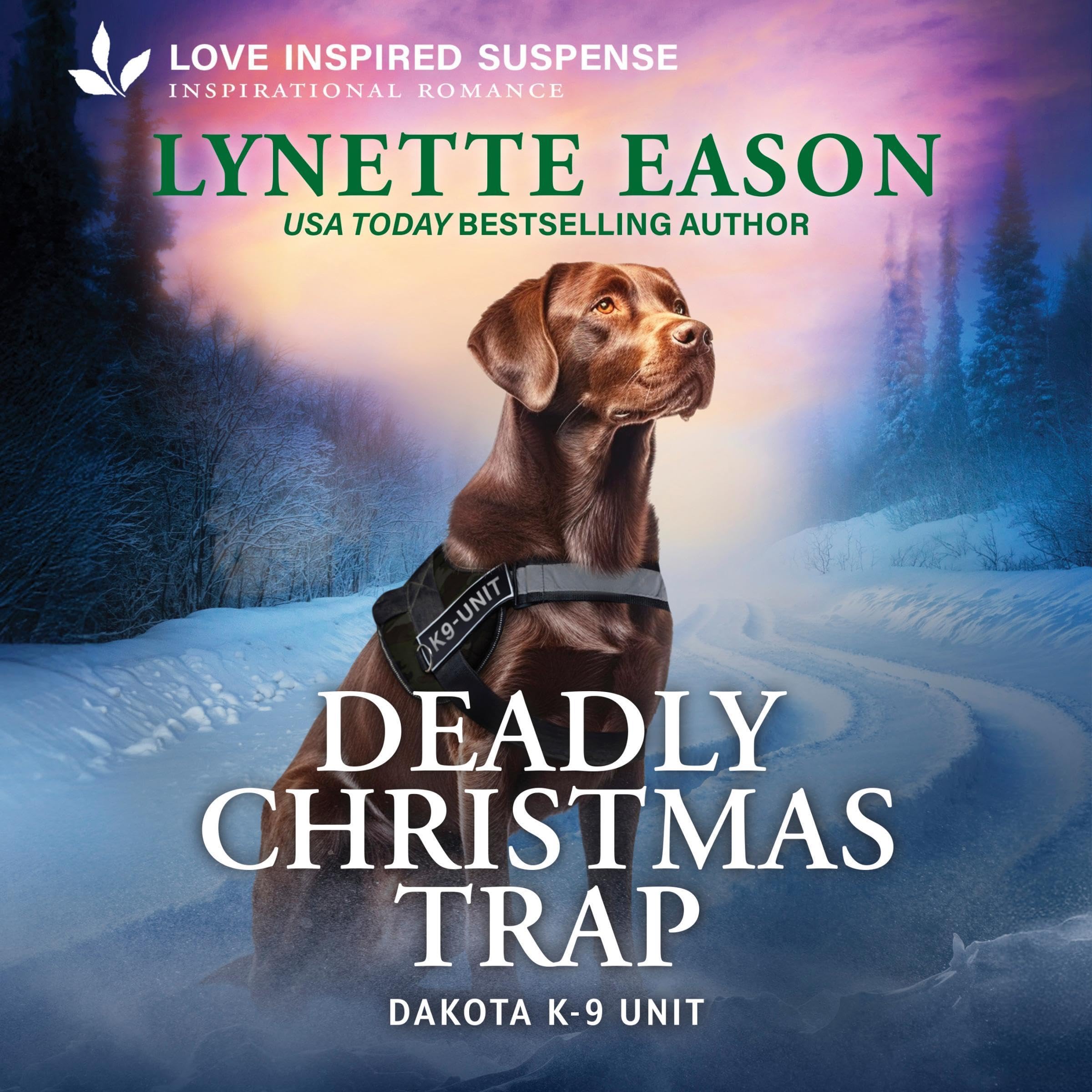 Deadly Christmas Trap