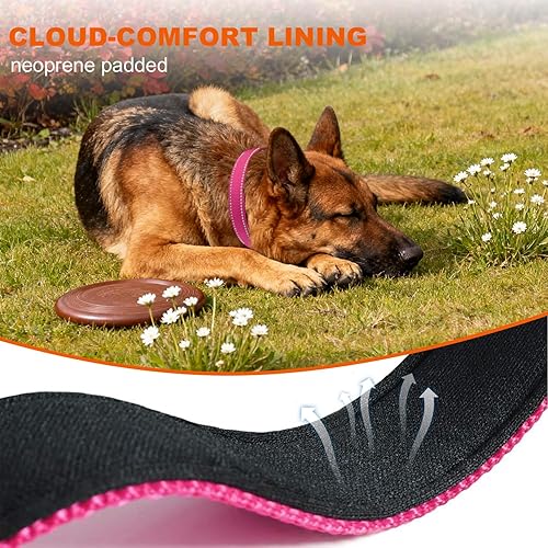 Miniatura 4 de Taglory Collar reflectante para perro con hebilla de bloqueo de seguridad, collares ajustables de nailon para mascotas para perros extragrandes,