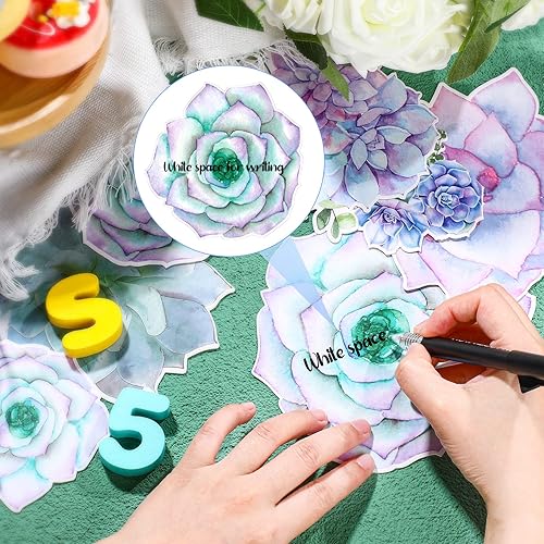 Miniatura 3 de 54 piezas de recortes de suculentas, elegantes tableros de anuncios, recortes de plantas suculentas, recortes de papel, decoración para niños,