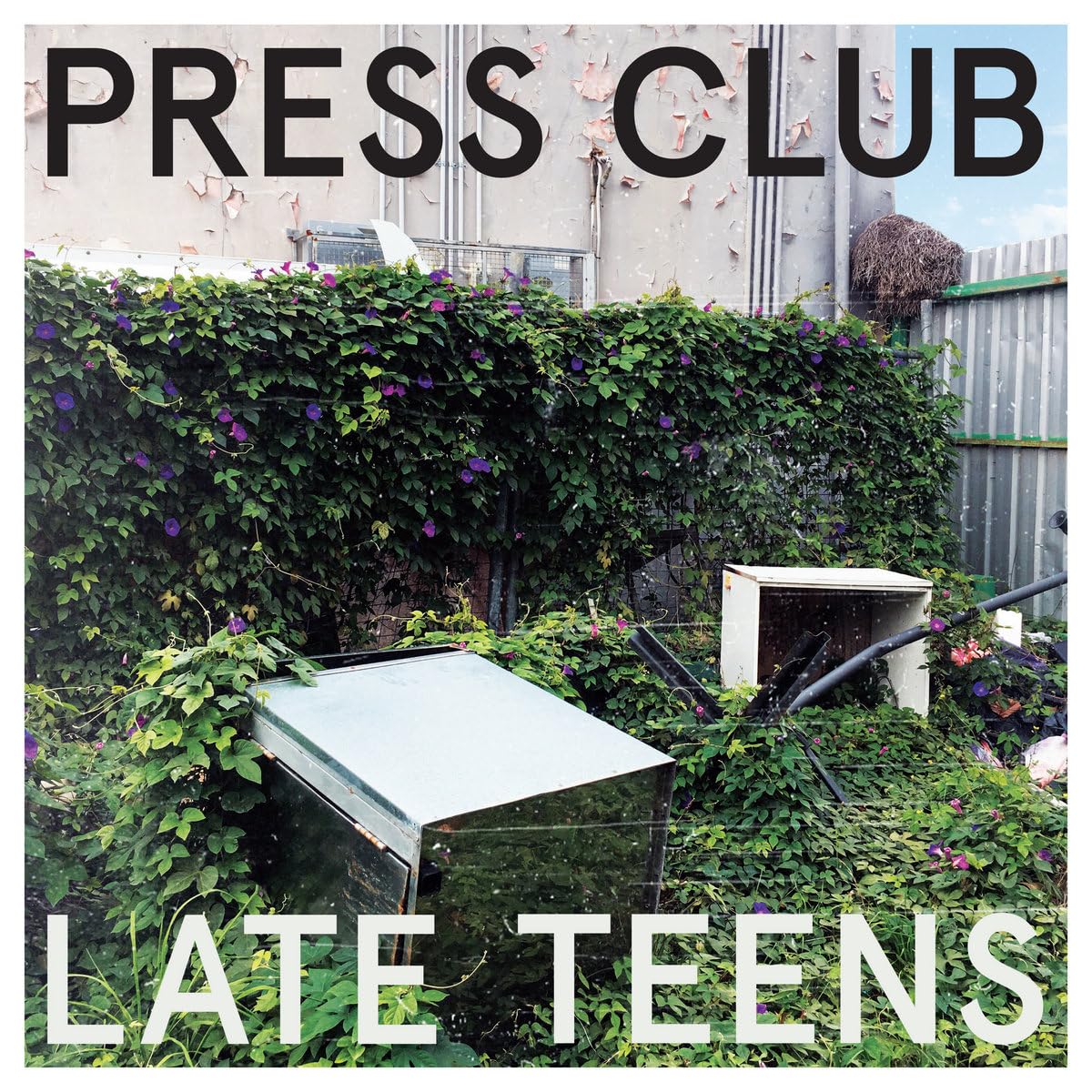 LATE TEENSexplicit_lyrics