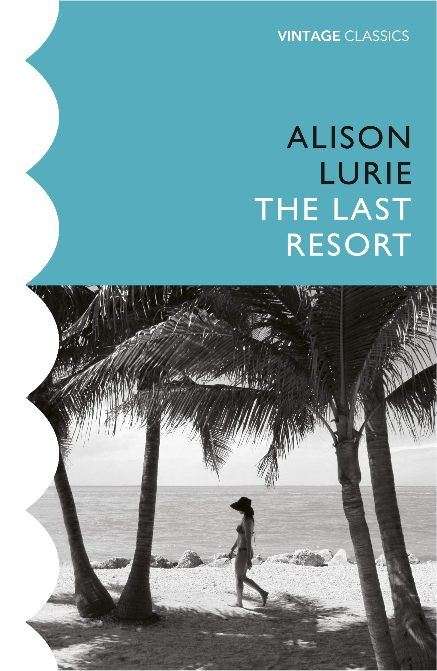 The Last Resort: Lurie, Alison: 9781784876272: Amazon.com: Books