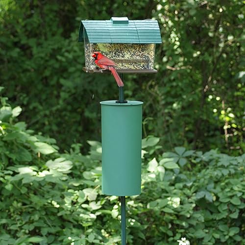 Miniatura 4 de Perky-Pet 341 Metal Ardilla de poste con deflector