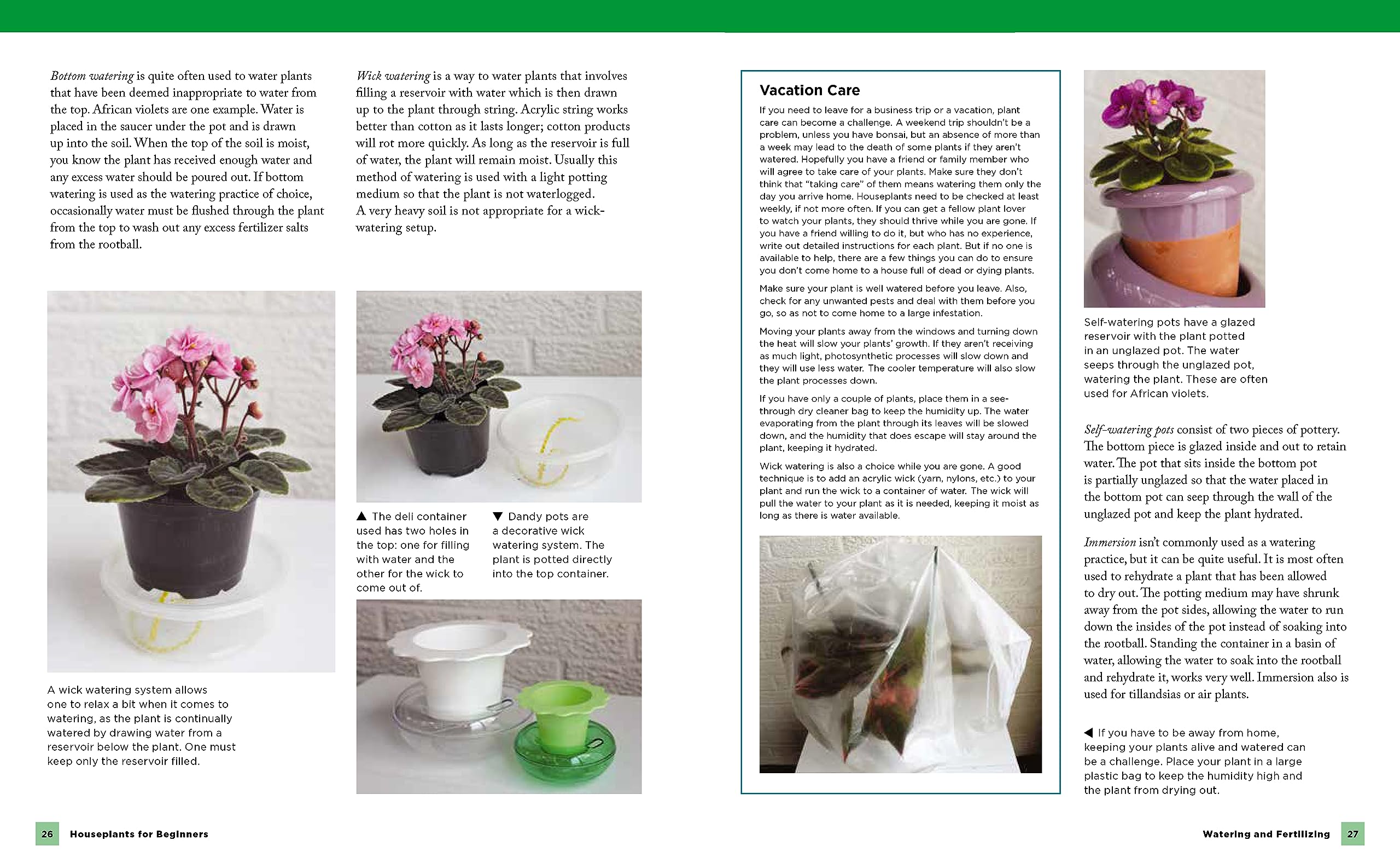 Houseplants for Beginners: A Simple Guide for New Plant Parents for Making Houseplants Thrive (New Shoe Press) - Image 4