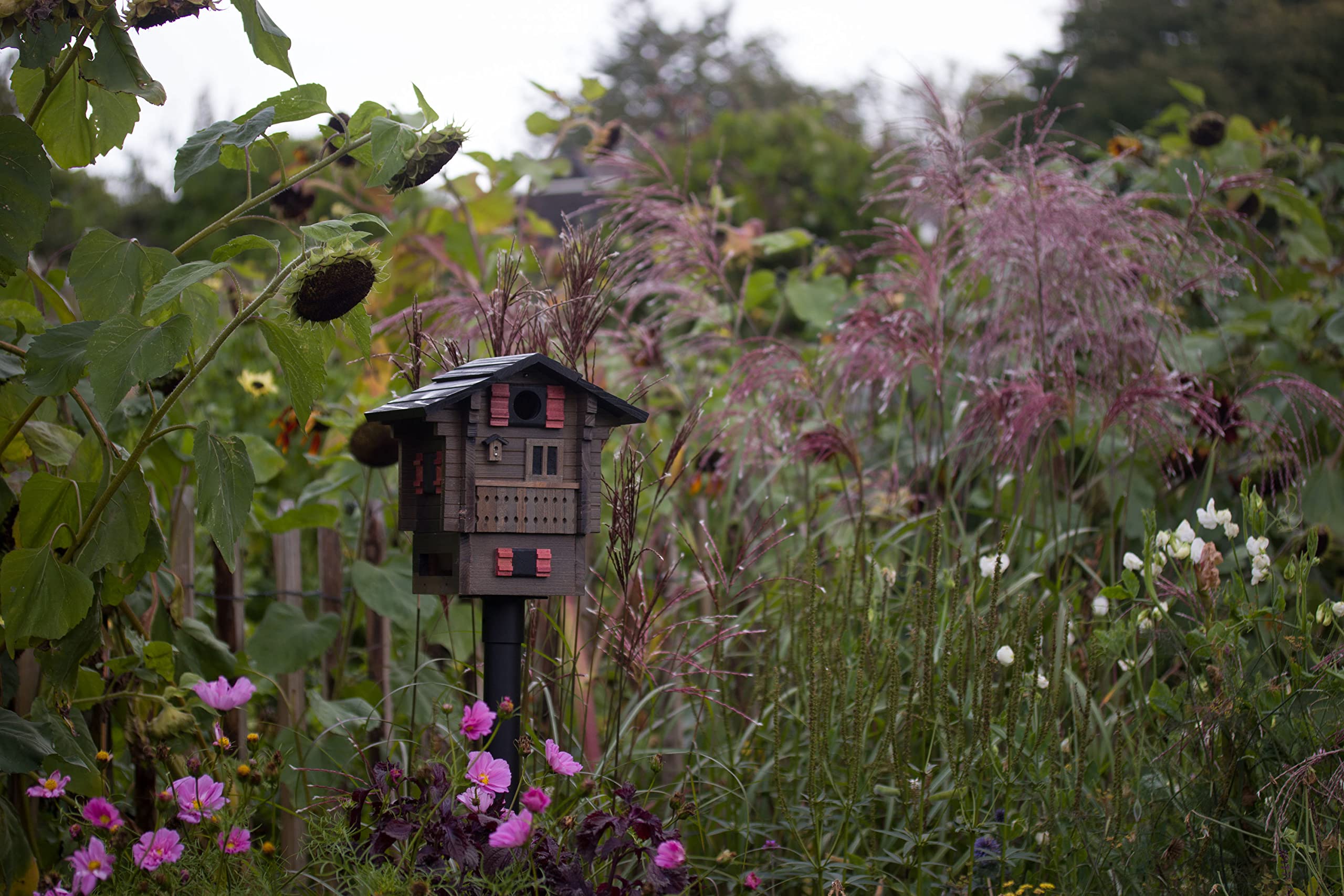 Wildlife Garden WG215 Multiholk Alpenhaus - Der Kombinierte Futtertisch und Nistkasten aus Holz