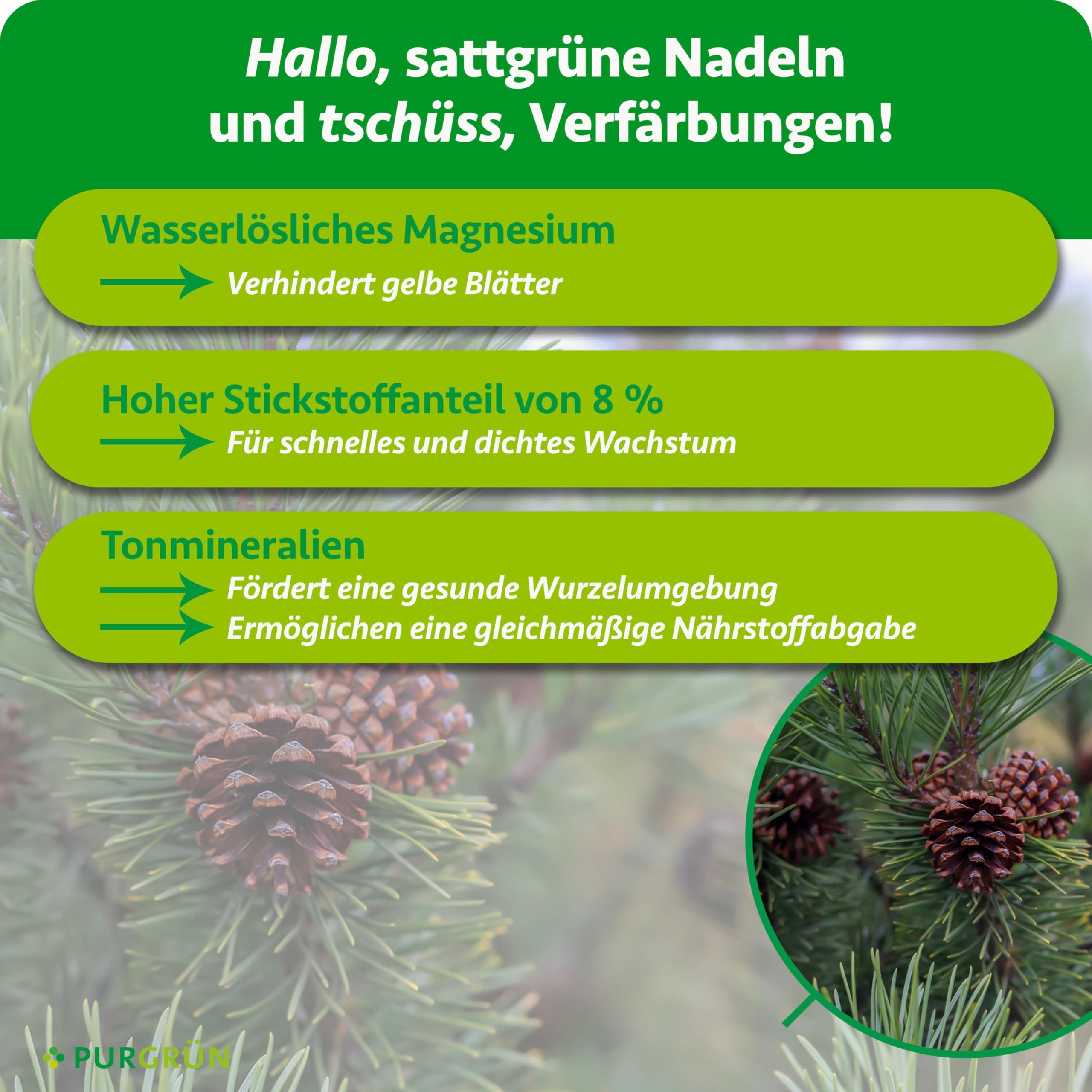 Kiefer-Dünger 1 kg – Extra Magnesium für schützt vor Nadelverfärbungen – Verbessert die Bodenqualität mit Tonmineralien – Erhöht die Widerstandskraft – Granulat für 5-6 Kiefern – chloridarm