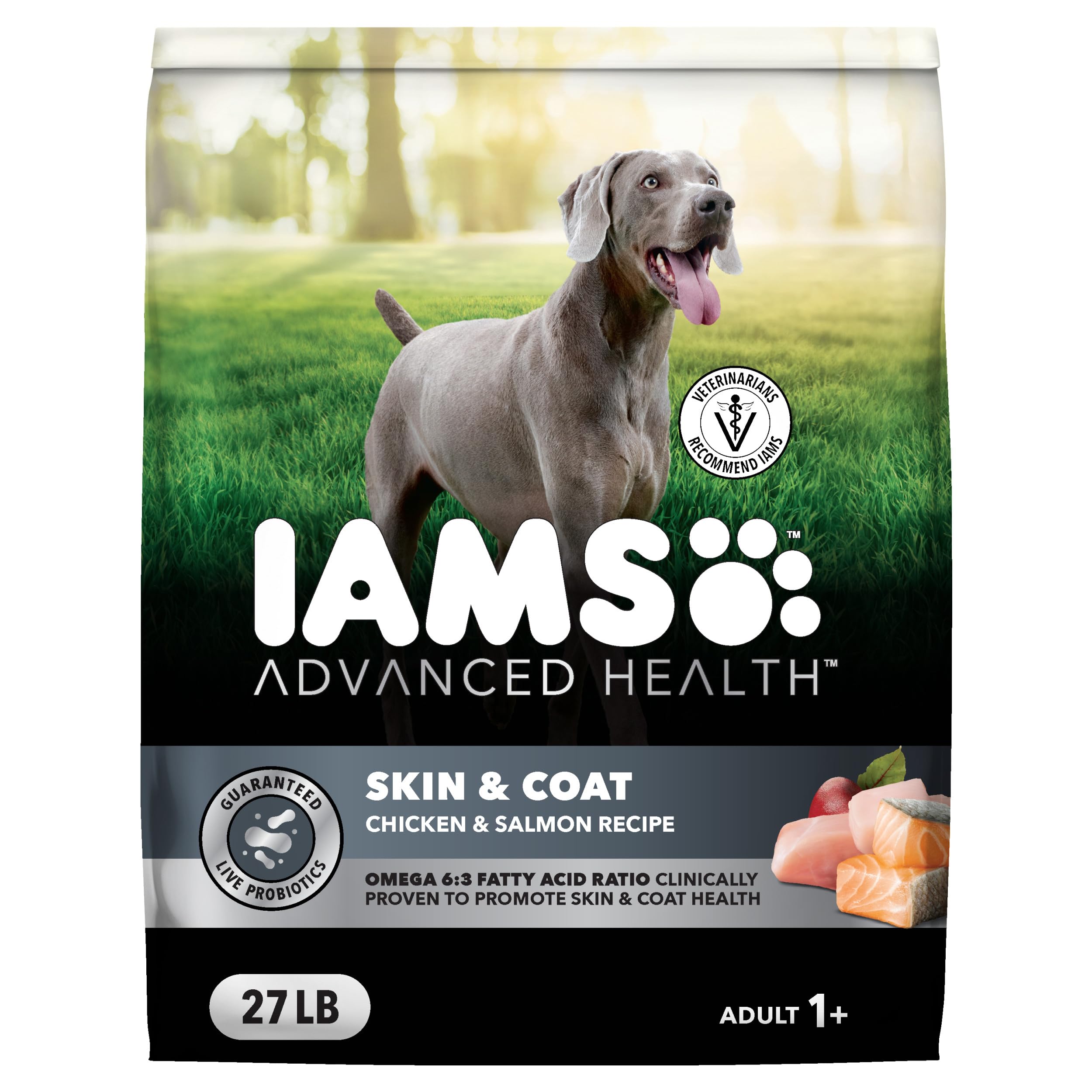 IAMS Advanced Health Skin & Coat Dry Dog Food