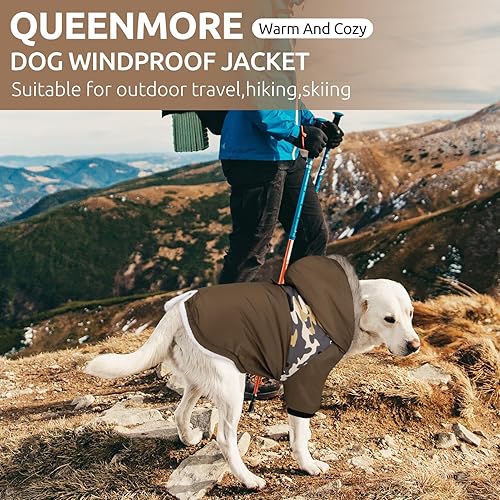 Miniatura 5 de Queenmore Abrigo cálido de invierno para perro, impermeable para clima frío, chaqueta de nieve para perro, sudadera reflectante con capucha para