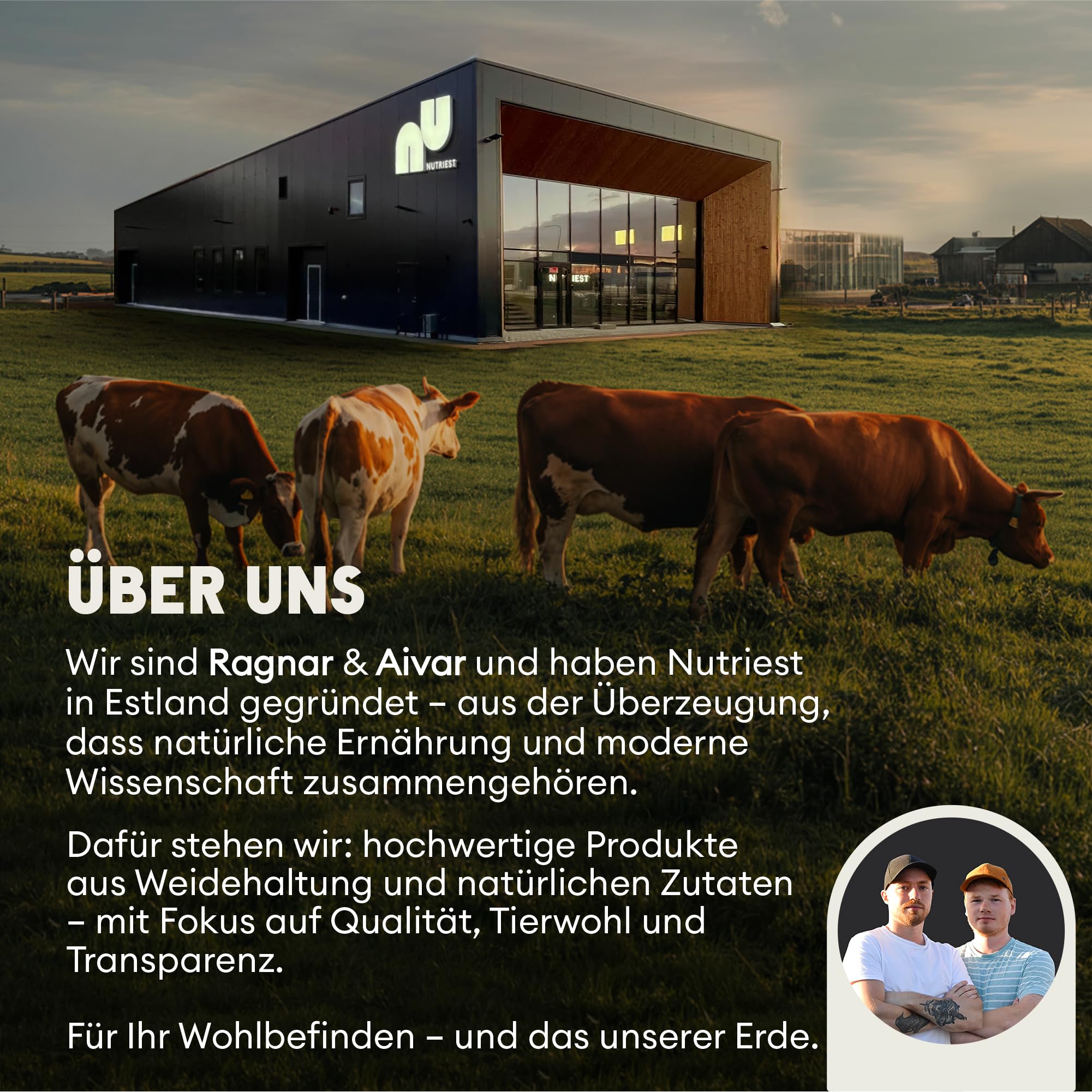 Cápsulas de hígado de res Nutriest (240 cápsulas) complejo de órganos de res 6 en 1 Carne de res orgánica europea alimentada con pasto 100% criada en pastura - Para energía, inmunológico y vitalidad