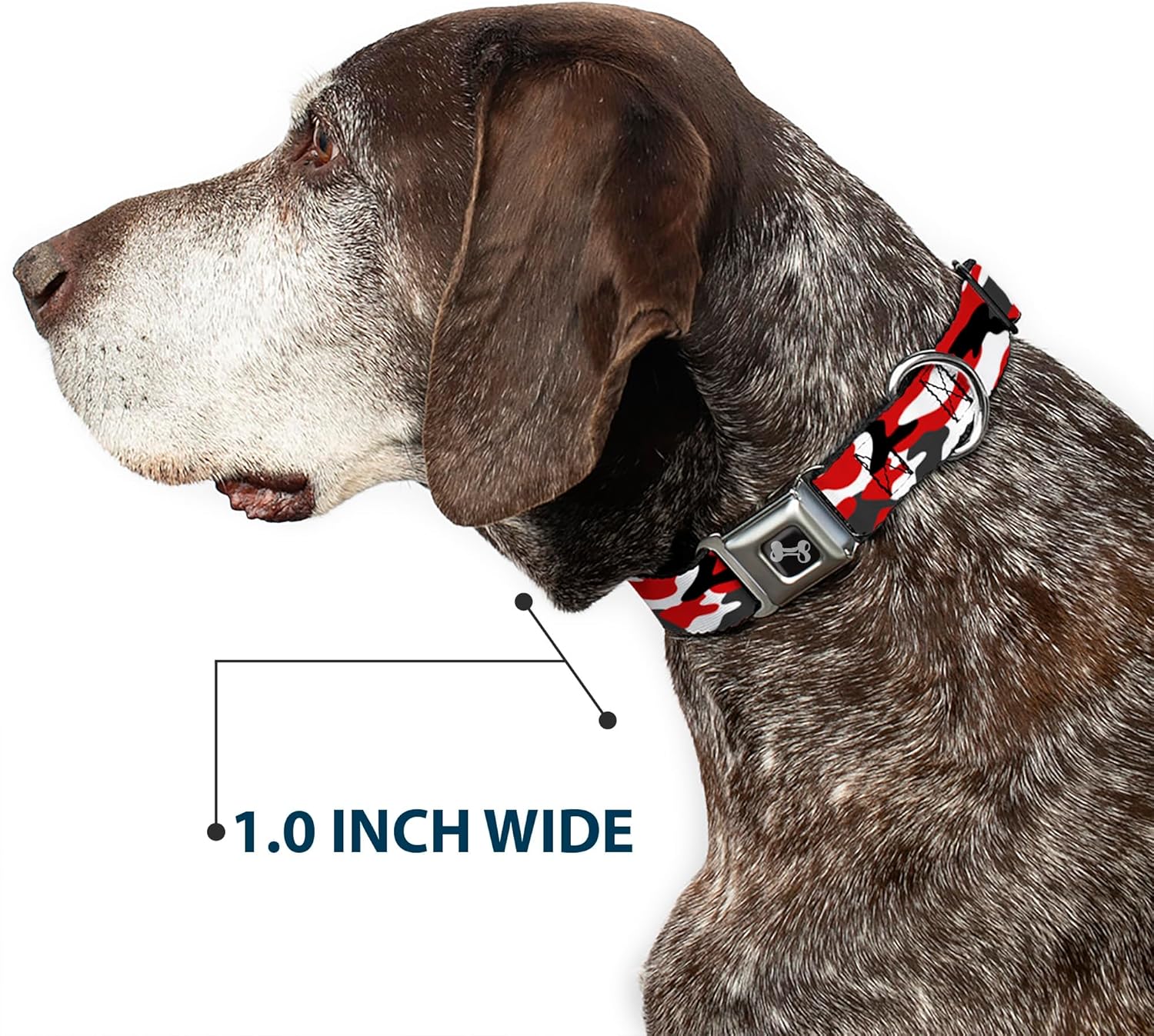 Buckle-Down Pet Collar, Dog Collar Metal Seatbelt Buckle, Camo Red Black Gray White, 11 to 16.5 Inches 1.0 Inch Wide
