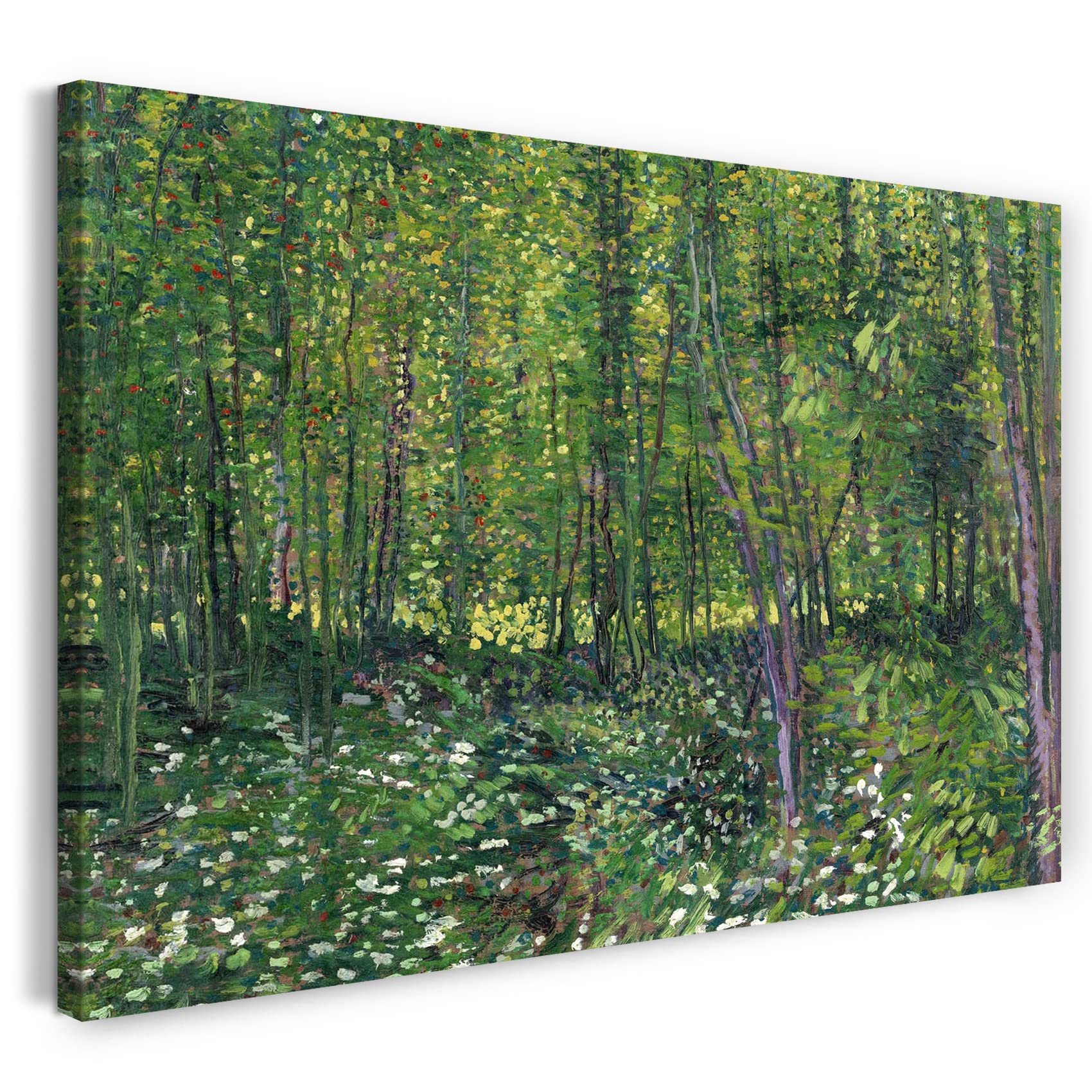 Printed Paintings Stampa su Tela con Telaio (120x80cm): Vincent Van Gogh - Alberi e sottobosco - Quadri Moderni