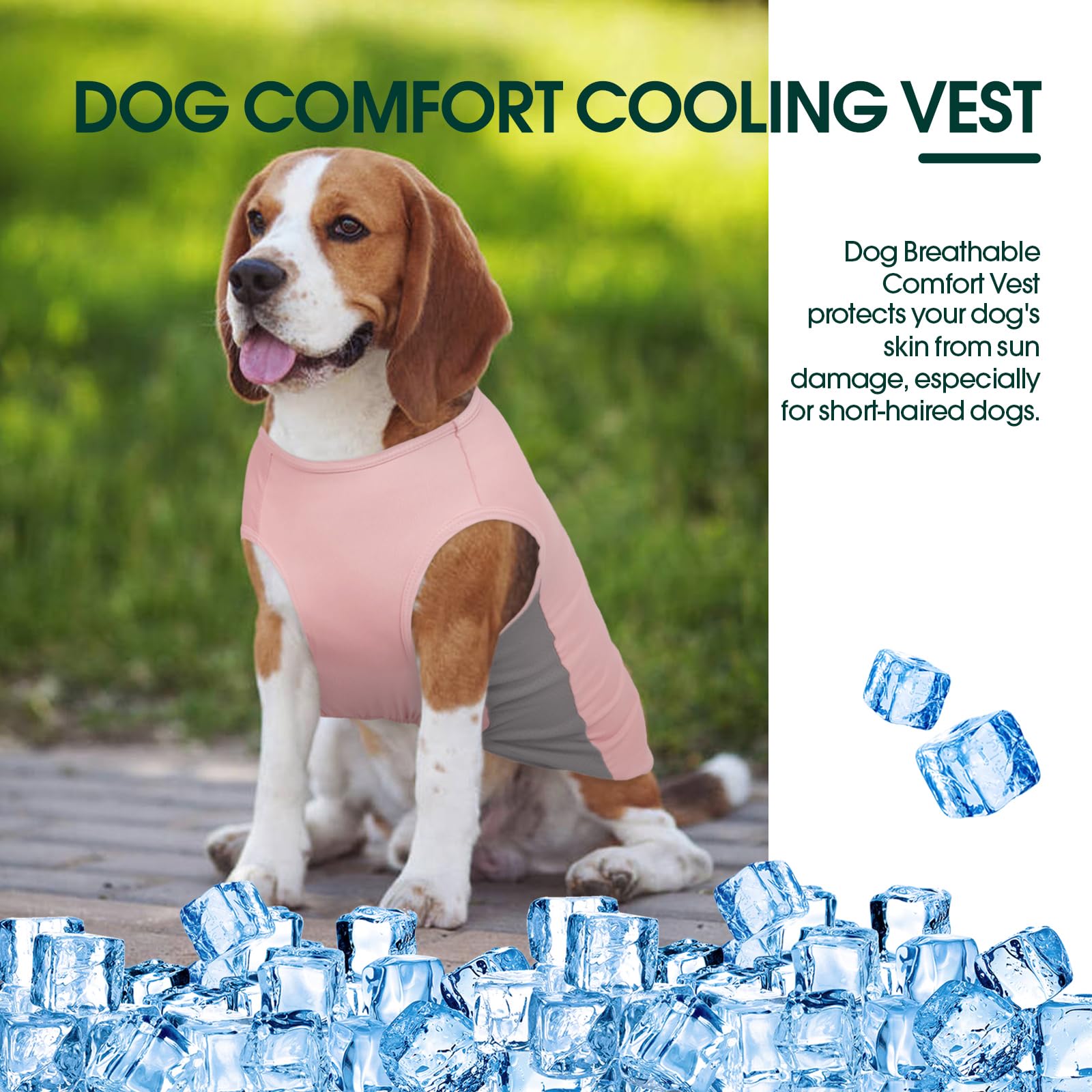 Kuoser Dog Cooling Vest Breathable Mesh Sun Protection Shirt for Summer Lightweight Elastic Pet Puppy Tshirt for Medium Dogs Clothes Pink - Image 3