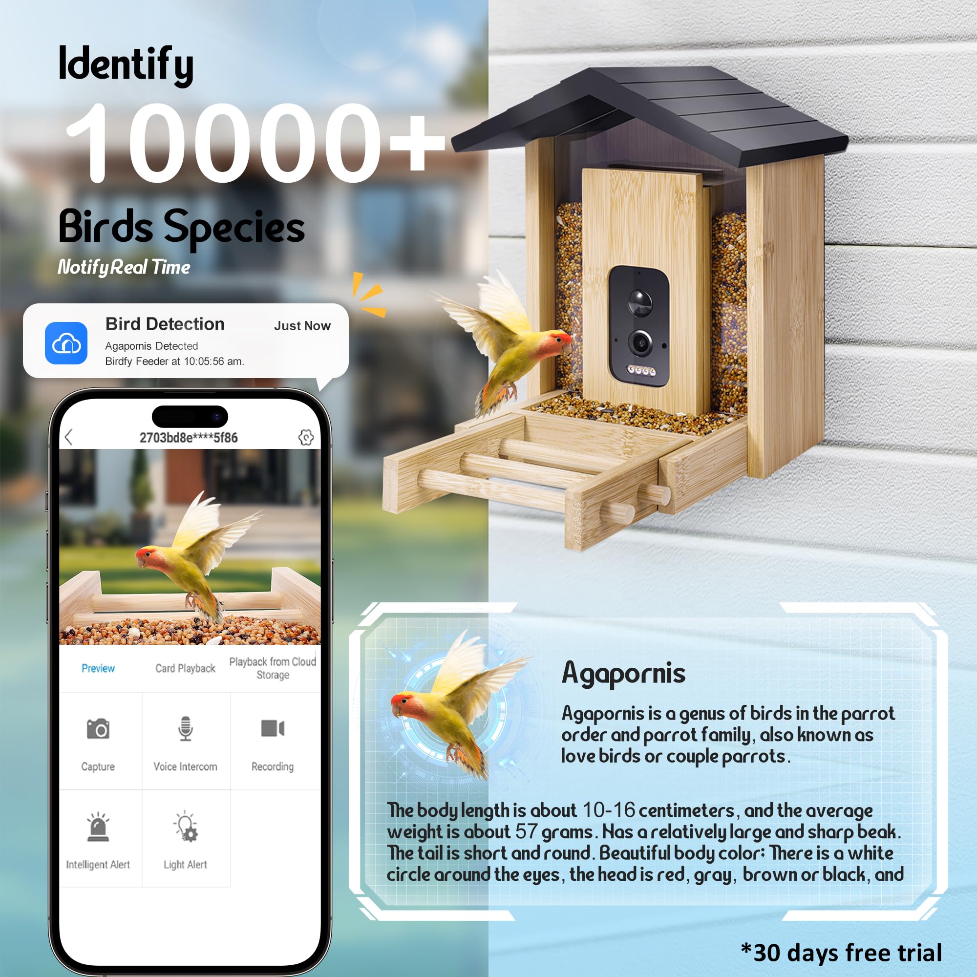 Mangiatoia per uccelli intelligente con fotocamera, mangiatoia per uccelli HD da 2,5 K, identificazione AI, alimentazione solare e a batteria, acquisizione e notifica automatica in tempo, legno di