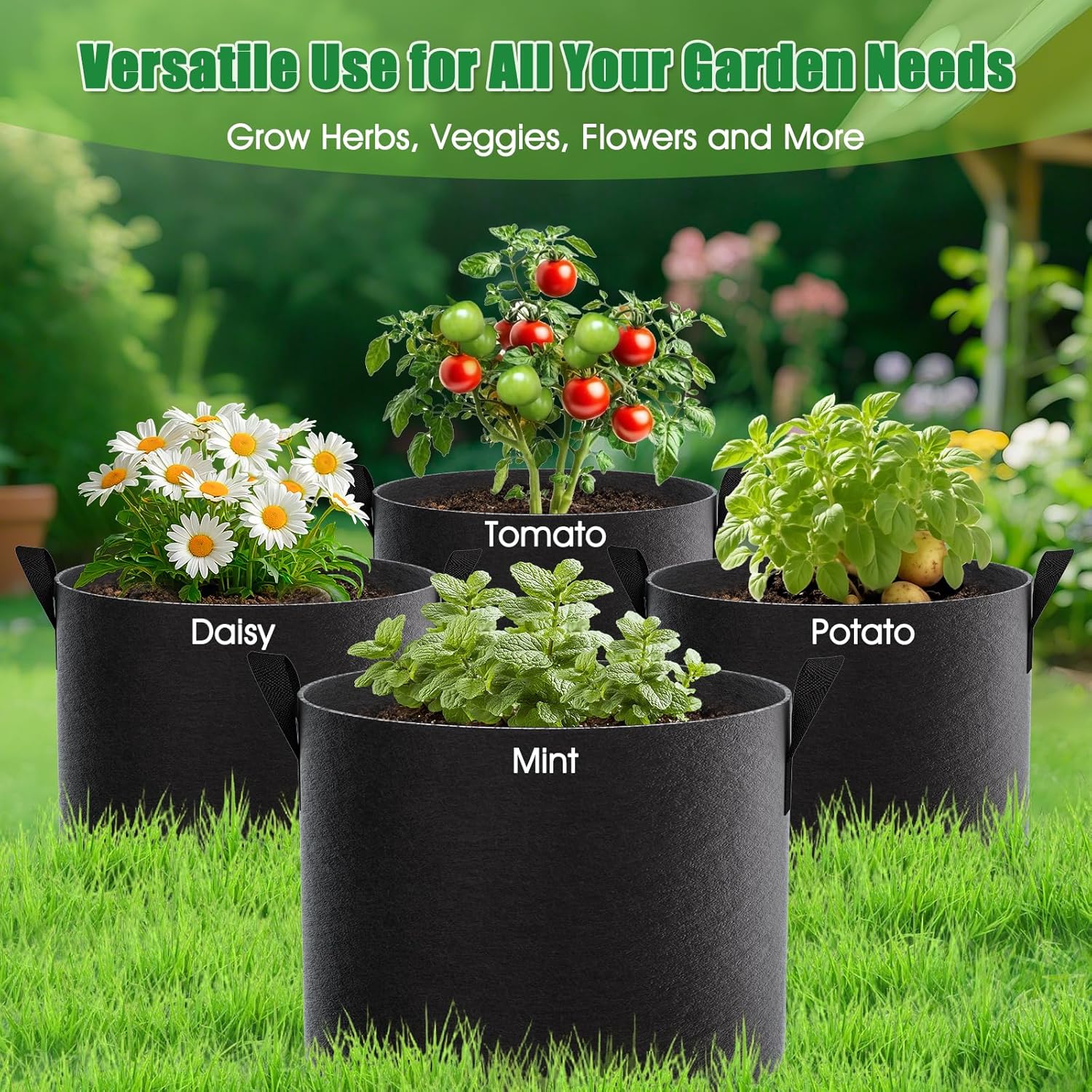 FEED GARDEN 10 Gallon Grow Bags 4 Pack – 300G Thickened Fabric Plant Pots with Reinforced Handles, Breathable Drainage Planters for Vegetables, Tomatoes, Herbs, Indoor & Outdoor Gardening - Image 5