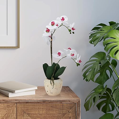 Miniatura 9 de Mikasa Orquídea artificial en maceta, orquídea Phalaenopsis de tacto real, maceta de cemento envejecido sintético, rama doble de 22 pulgadas,