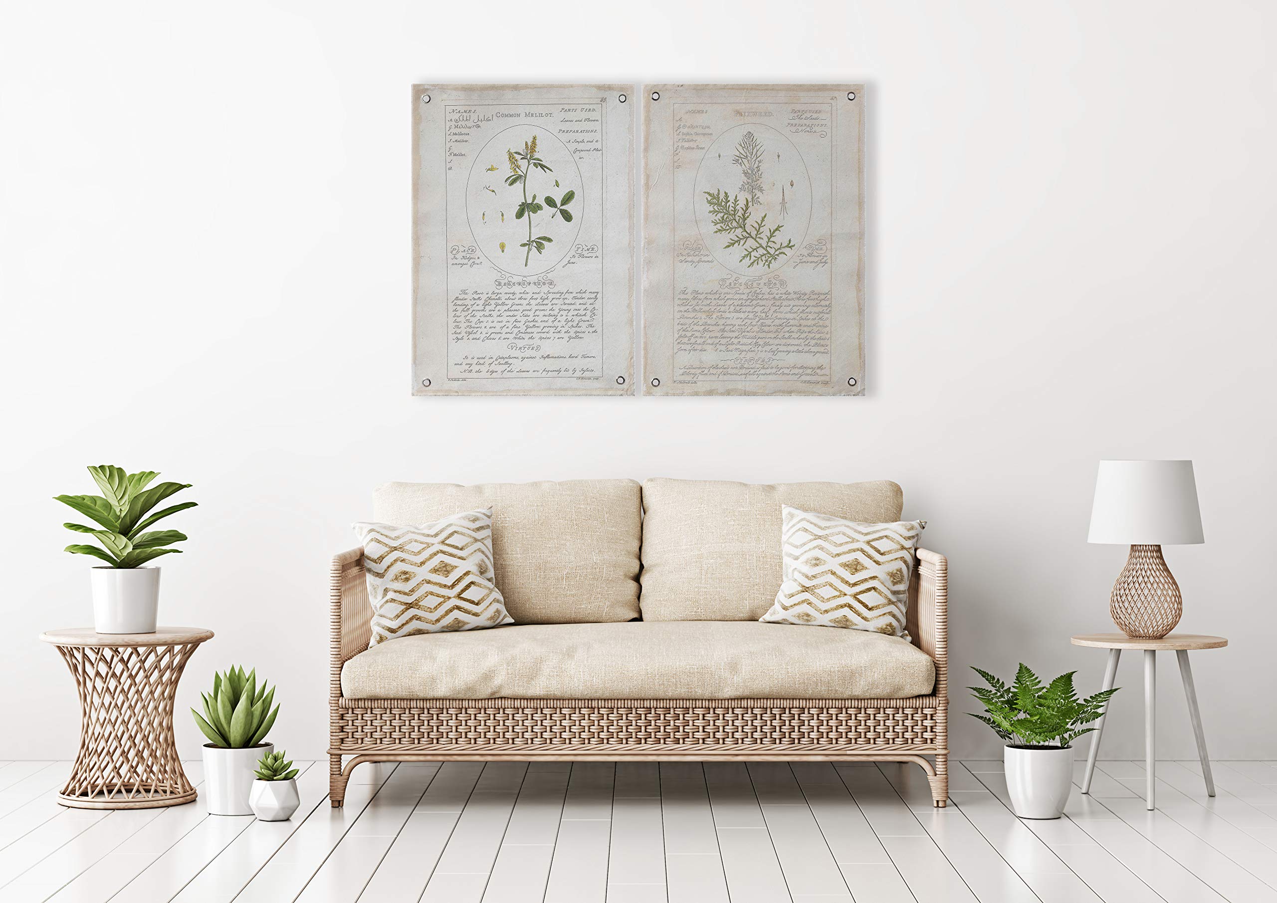 Creative Coop Vintage Reproduction Botanical Descriptions on Canvas