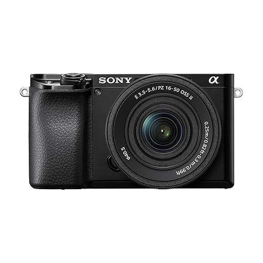 Sony Alpha a6100 Versatile APS-C Kit